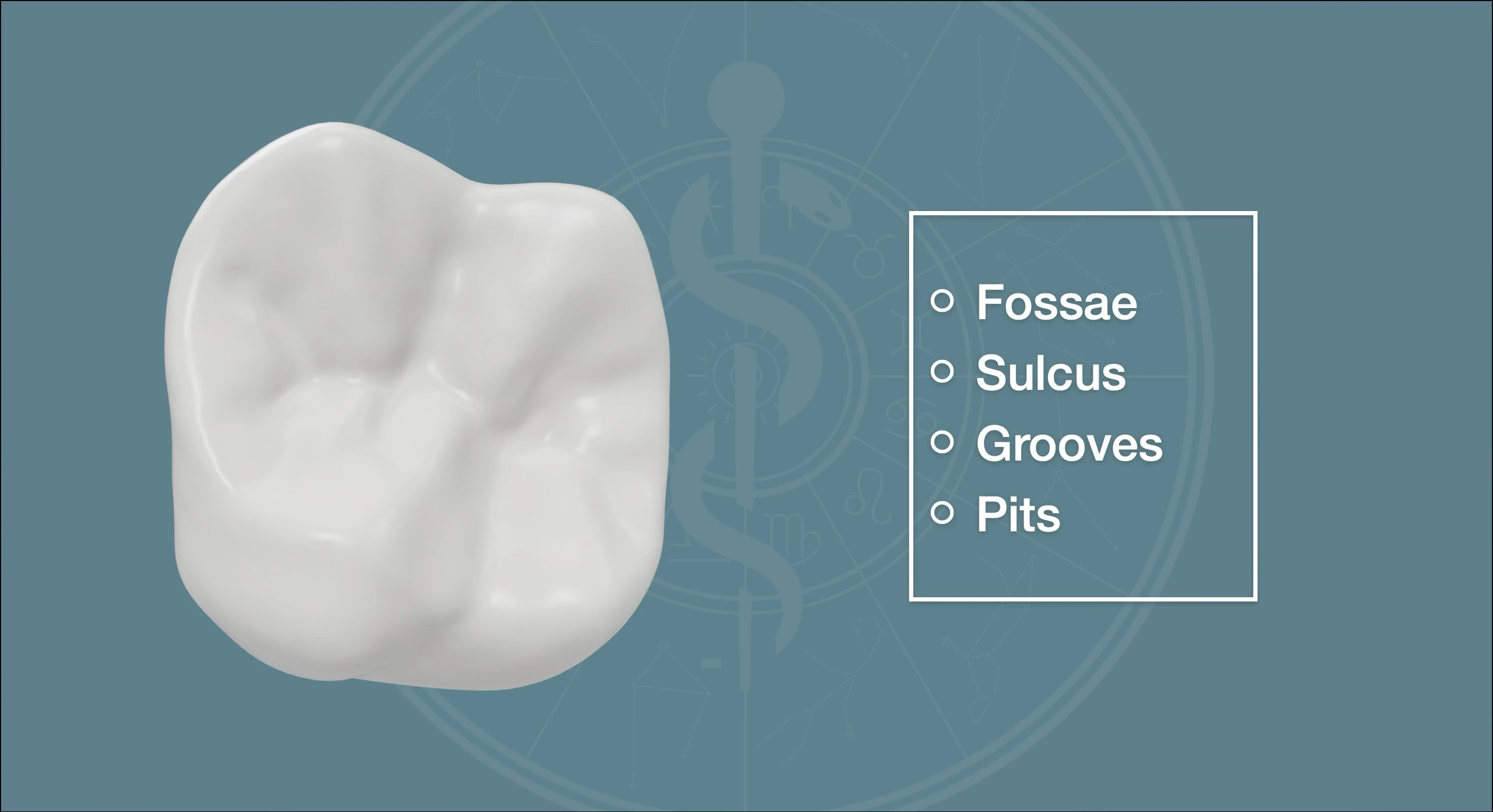 Depressions on Tooth Surface