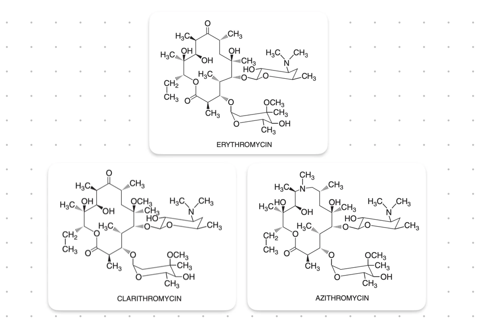 Macrolides : Erythromycin, Clarithromycin and Azithromycin