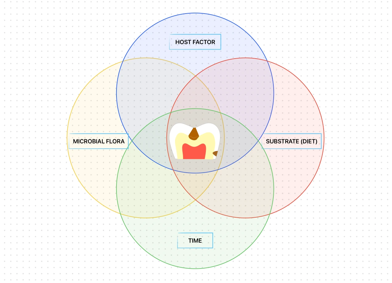 Etiology of Dental Caries