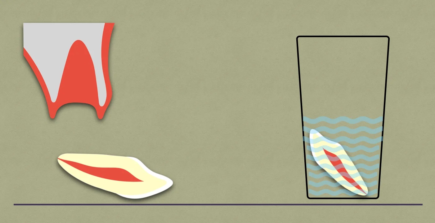 Transport Media for Avulsed Tooth