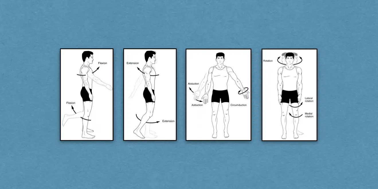 Terms Related to Movement