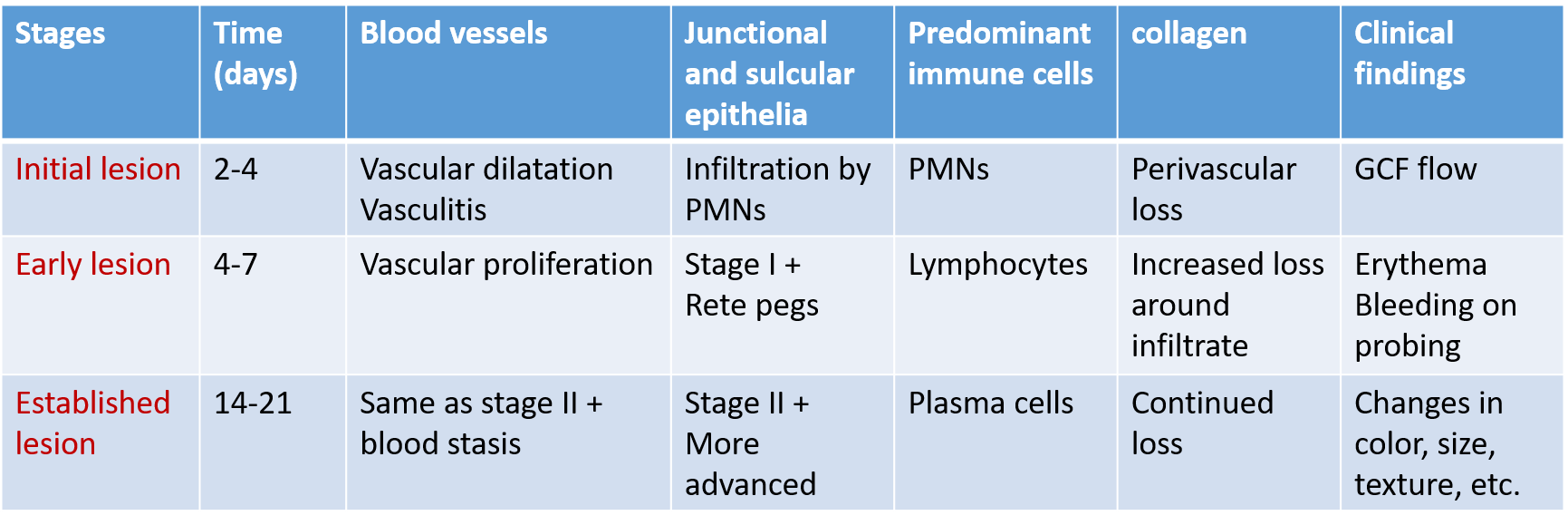 Stages of Gingivitis